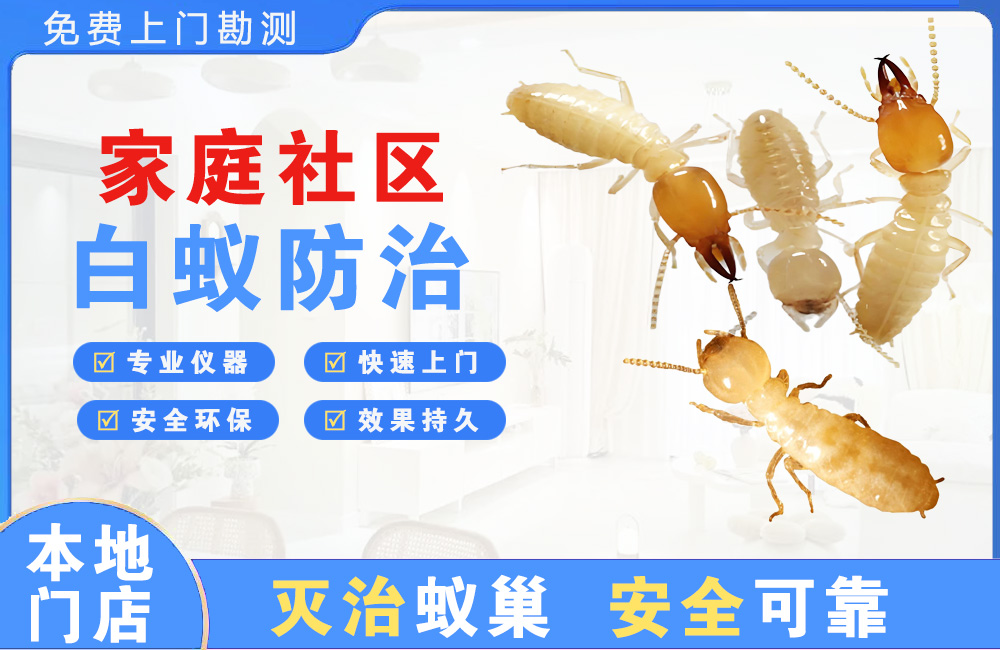 安宁家庭社区白蚁防治