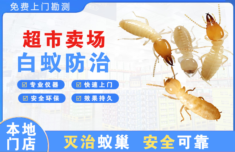安宁超市卖场白蚁防治