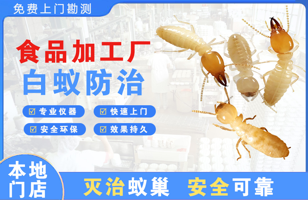 安宁食品加工厂白蚁防治