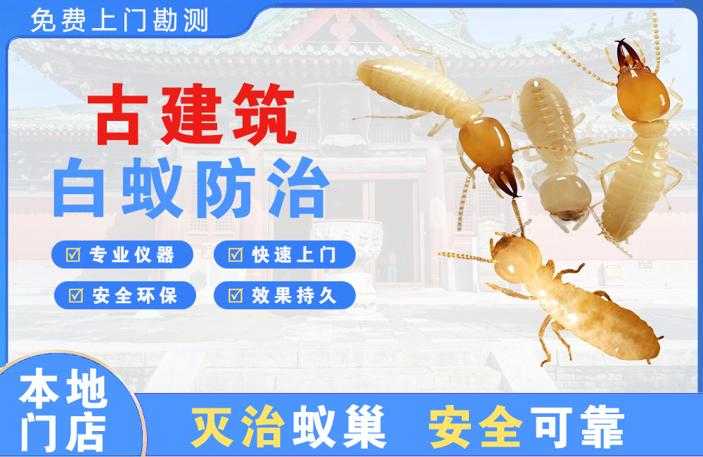 安宁古建筑白蚁防治