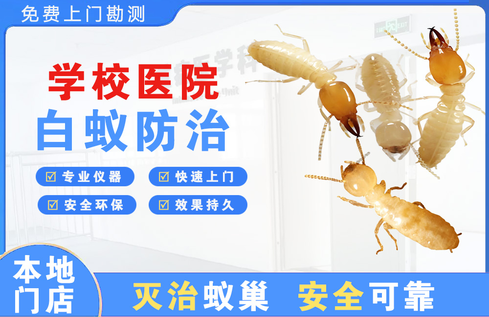 安宁学校医院白蚁防治