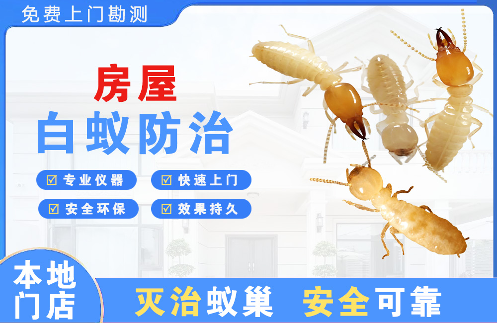 安宁房屋白蚁防治