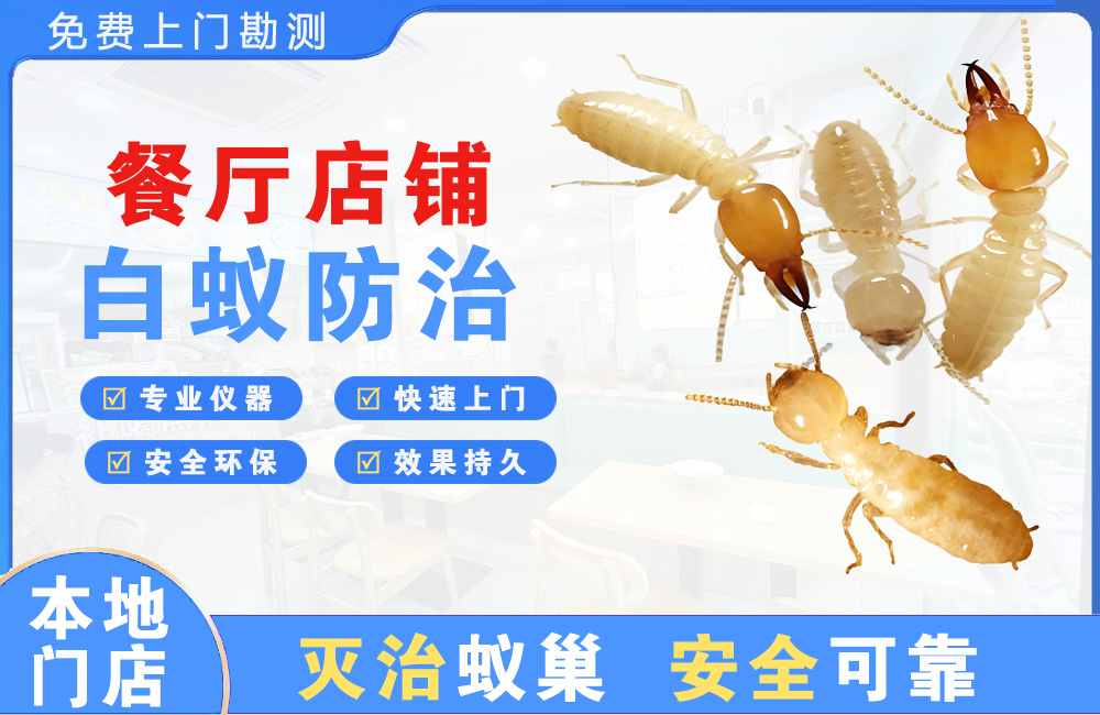 安宁餐厅店铺白蚁防治